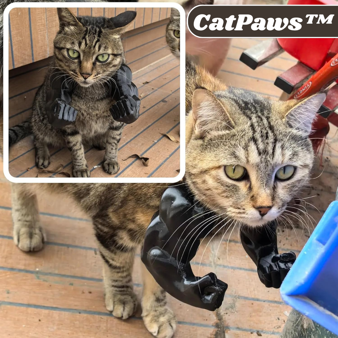 CatPaws™ - Superhelden-Katzenarme (1+1 GRATIS)