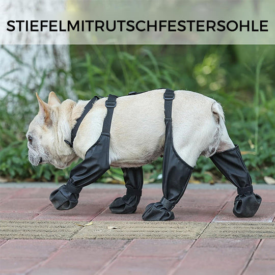 PuddleShield™ Wasserdichte Strumpfhosen für Haustiere