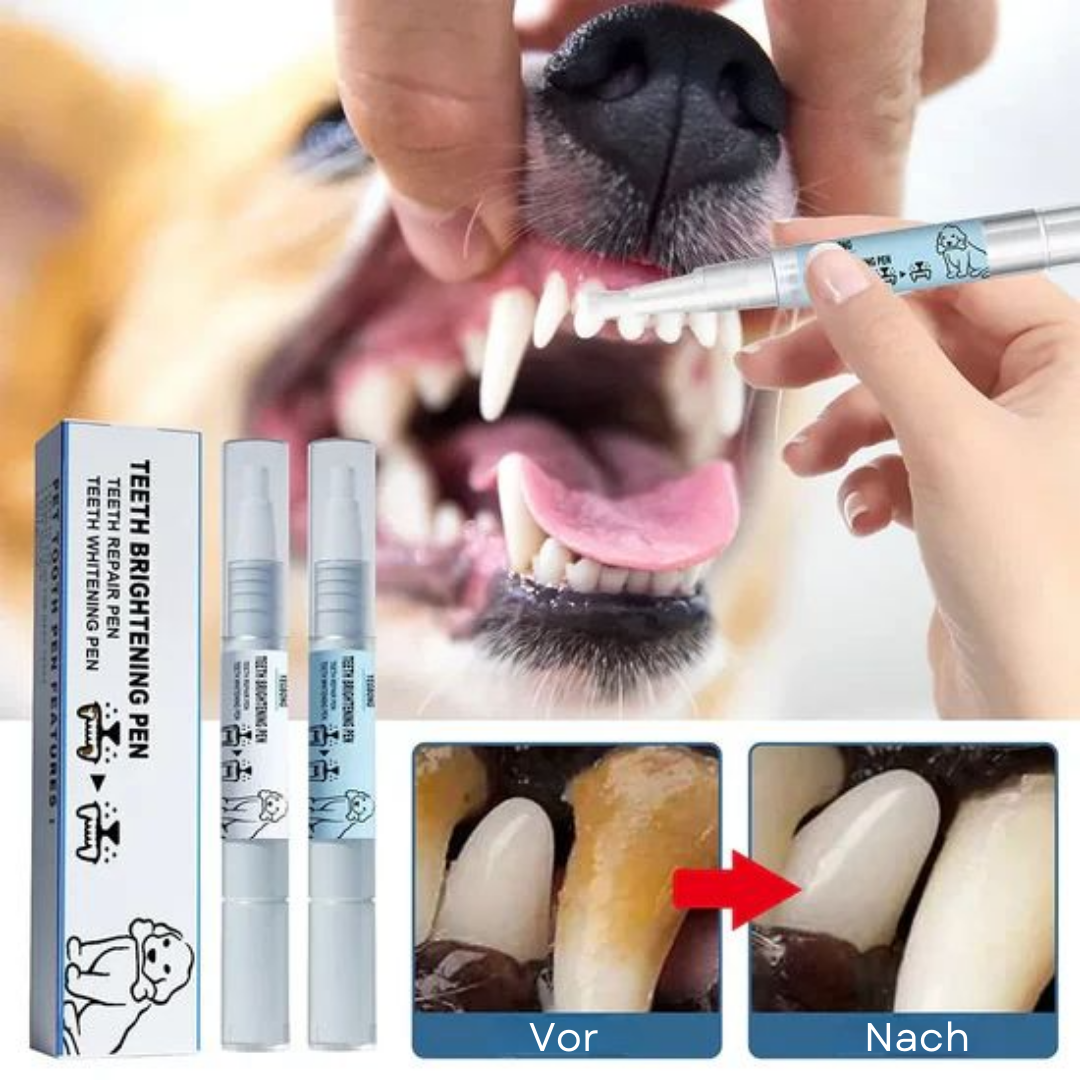 PawSparkle™ Haustier-Zahnbürstenstift (1+1 GRATIS)