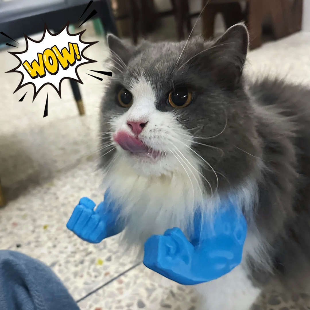 CatPaws™ - Superhelden-Katzenarme (1+1 GRATIS)
