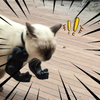 CatPaws™ - Superhelden-Katzenarme (1+1 GRATIS)
