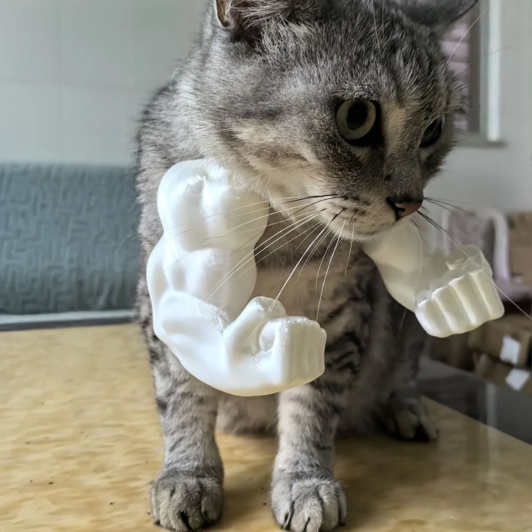CatPaws™ - Superhelden-Katzenarme (1+1 GRATIS)