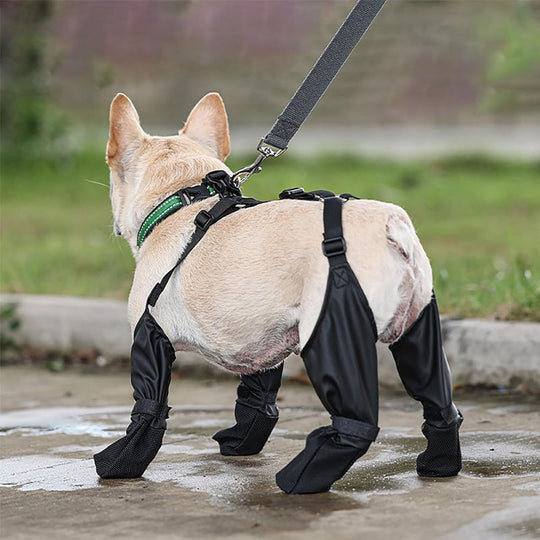 PuddleShield™ Wasserdichte Strumpfhosen für Haustiere