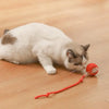 PawPlay™ – Interaktives Katzenspielzeug-Ball
