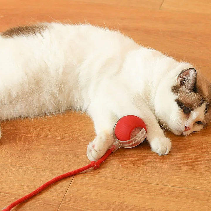 PawPlay™ – Interaktives Katzenspielzeug-Ball