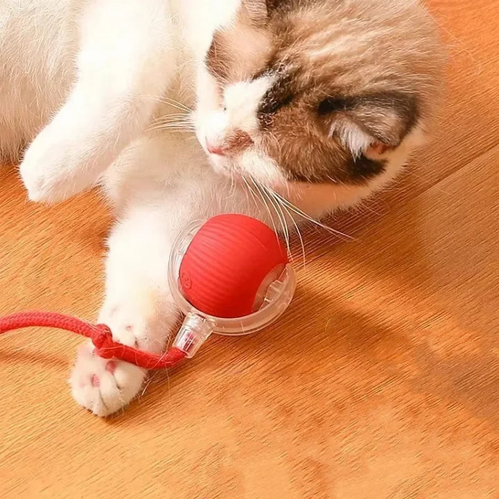 PawPlay™ – Interaktives Katzenspielzeug-Ball