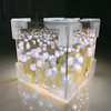 FloraShine™ - Tulpenblüte-Leuchtkasten