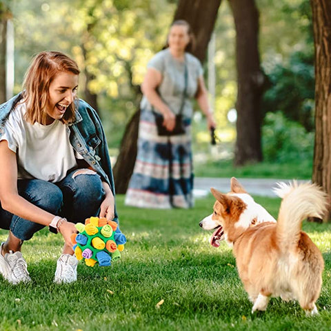 Sniff 'n Seek™ - Tragbarer Schnuffelball für Haustiere