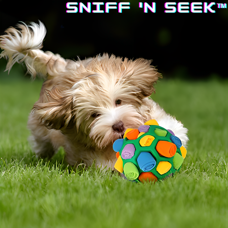 Sniff 'n Seek™ - Tragbarer Schnuffelball für Haustiere