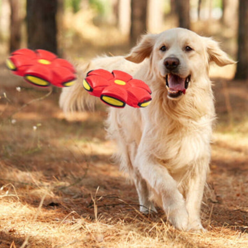 DiscPup™ - Fliegender Untertassenball