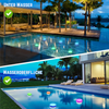 PoolLicht™ LED-Pool-Licht (1+2 GRATIS)