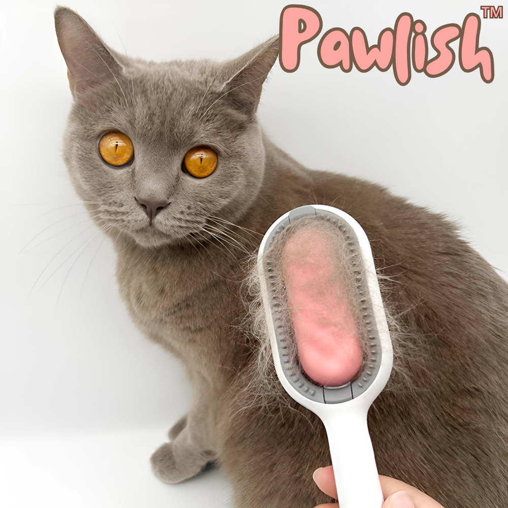 Pawlish™ - Pflegebürste für Haustiere