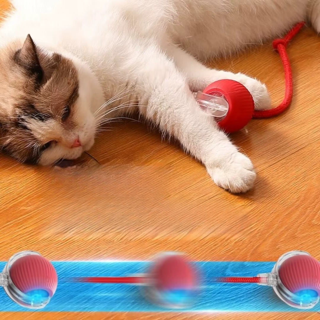PawPlay™ – Interaktives Katzenspielzeug-Ball