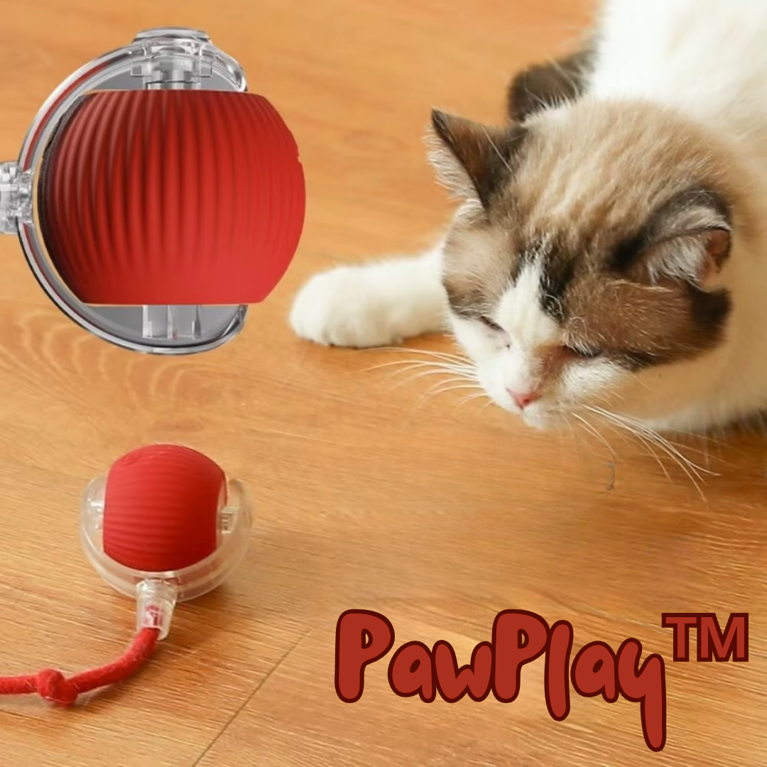 PawPlay™ – Interaktives Katzenspielzeug-Ball