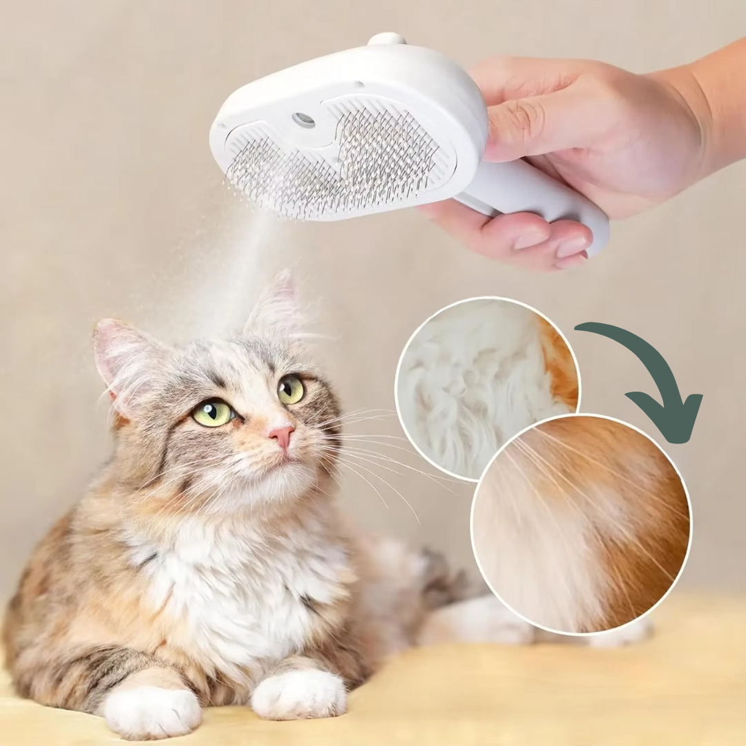FurBuddy™ – Haustier Spray Massagebürste