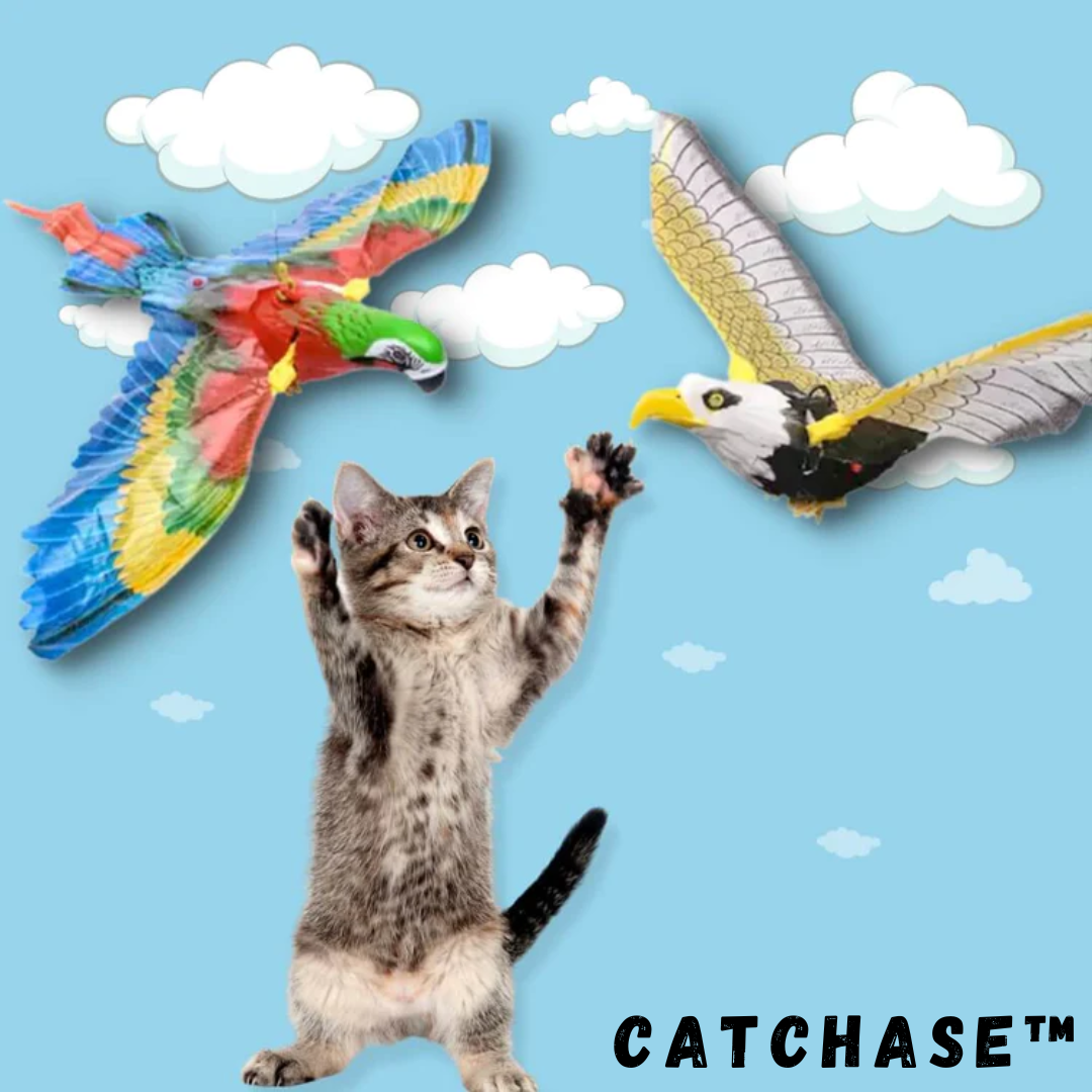 Catchase™ Interaktives Katzenspielzeug mit Vogelsimulation (1+1 GRATIS)